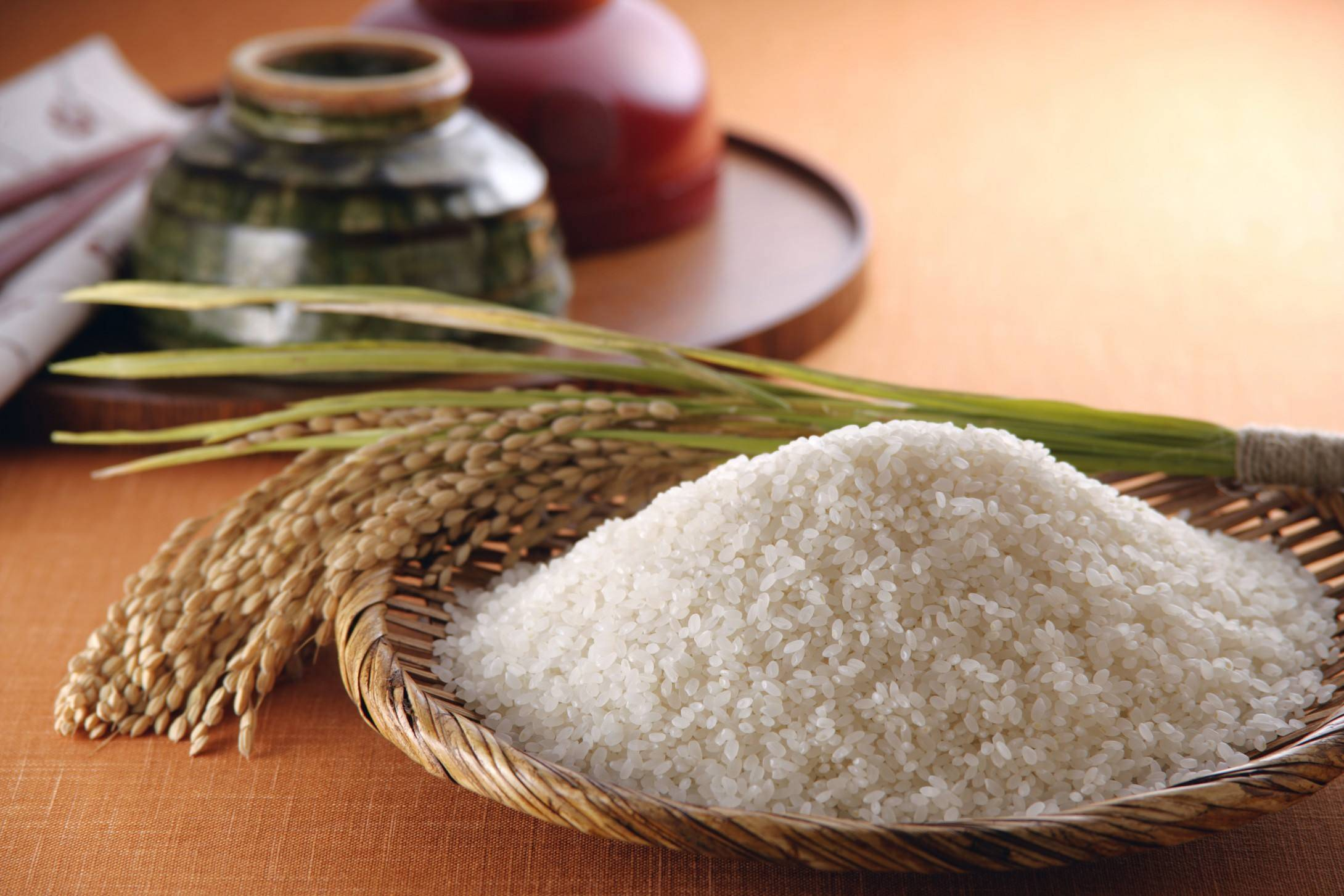poudre de protéines de riz en vrac