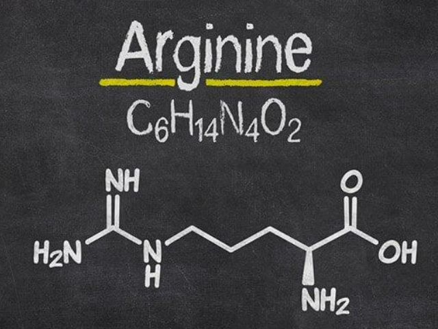 L-arginine hcl en poudre